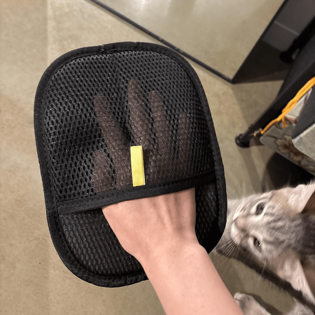 Varlen FreshPaws™ Grooming Glove