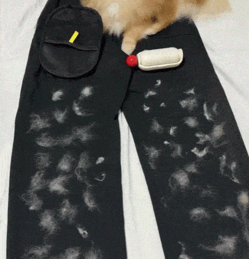 Varlen FreshPaws™ Grooming Glove